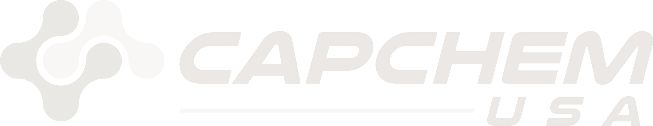 Capchem Technology USA